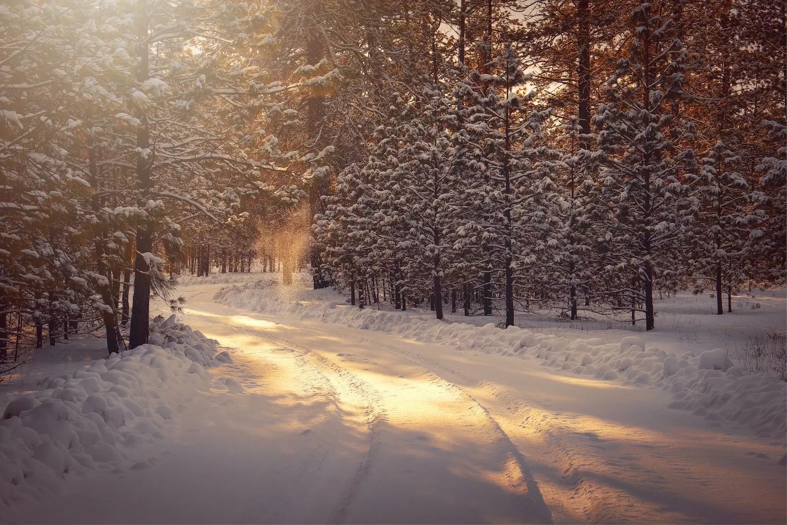 Descoperirea tradițiilor culturale și istorice ale solstițiului de iarnă