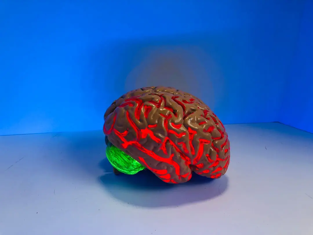 Photo brain, health