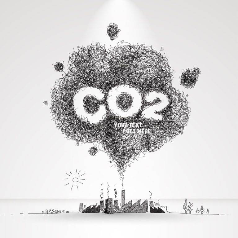 Află cum să reduci amprenta de carbon