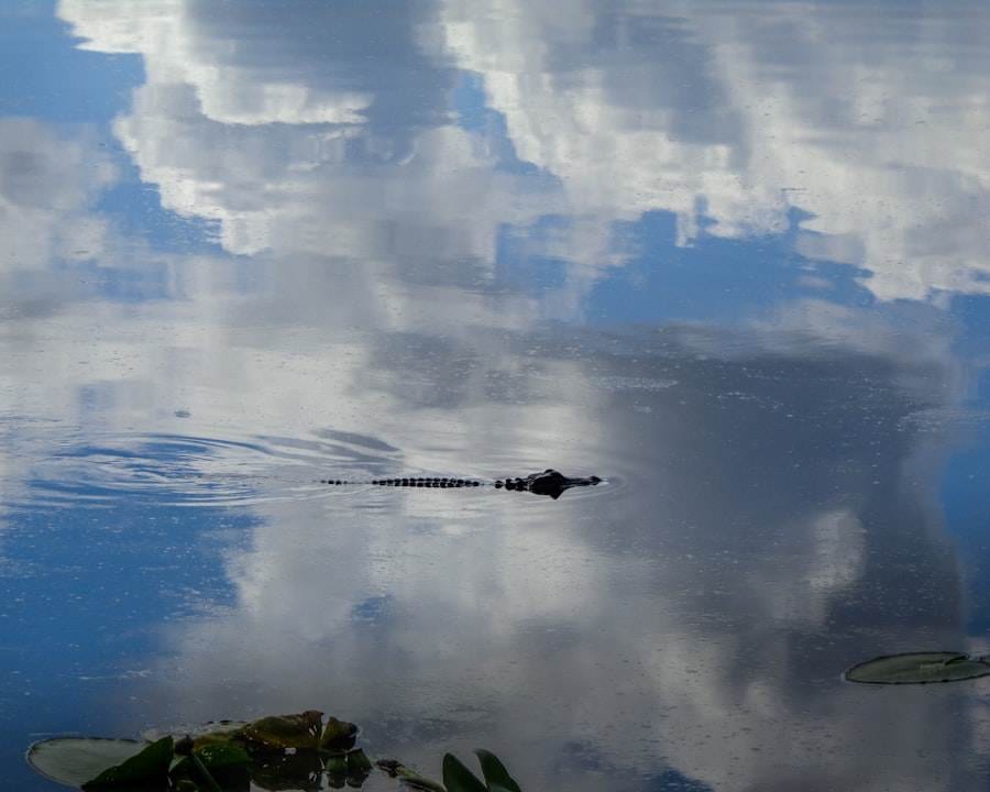 image 55