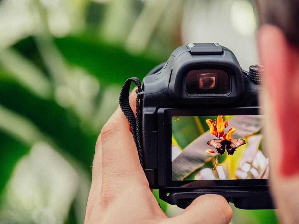 Photo Photo editing interface