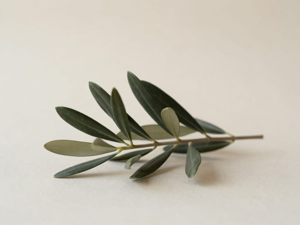 featured ca6c9218